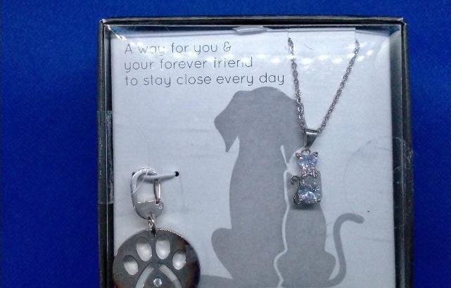 Fine Silver Plated Necklace & Charm- Paw